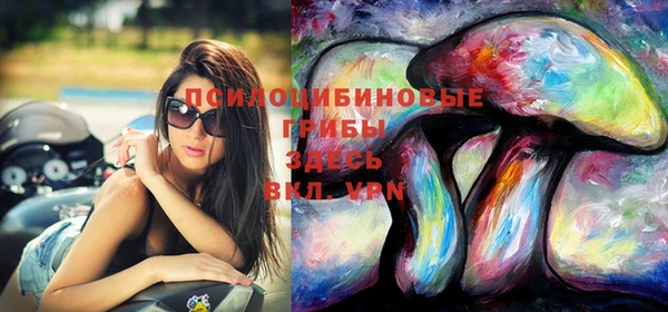 кристаллы Вяземский